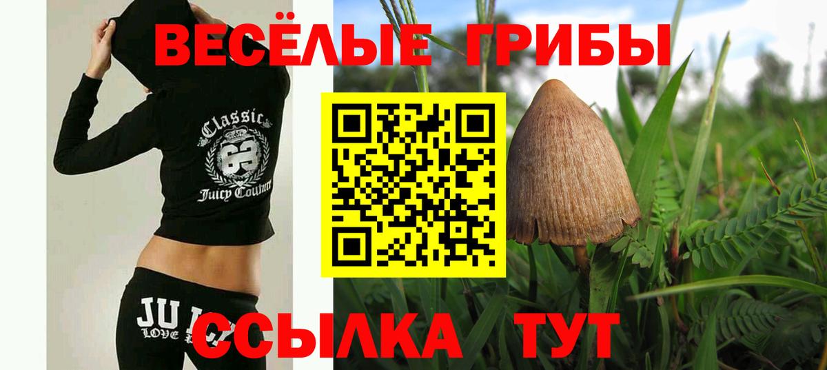 Галлюциногенные грибы мицелий Моздок